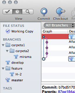Organizando las ramas en carpetas